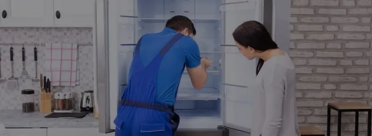 Ремонт холодильников Mistery